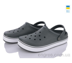 Кроксы Golden Lion